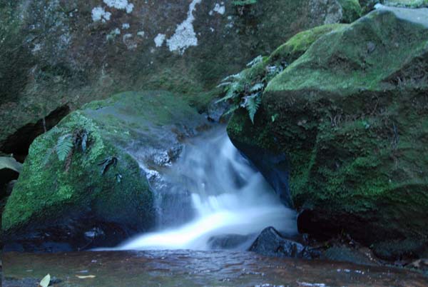 petite cascade d'eau dans les Blue Montain